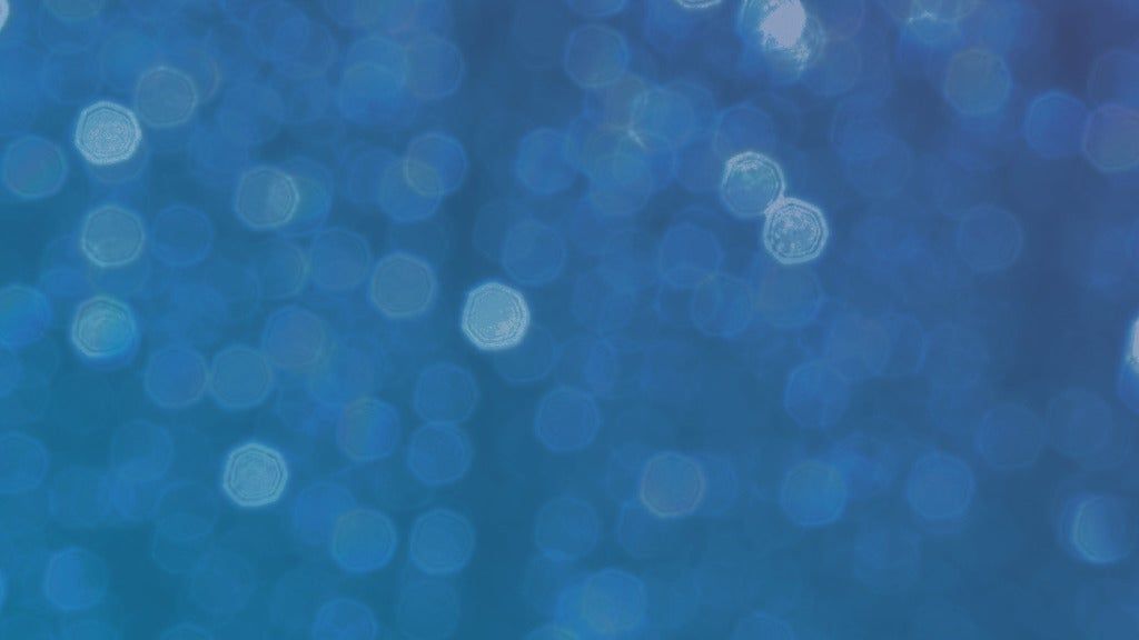 2025 Festibull of Lights Vouchers