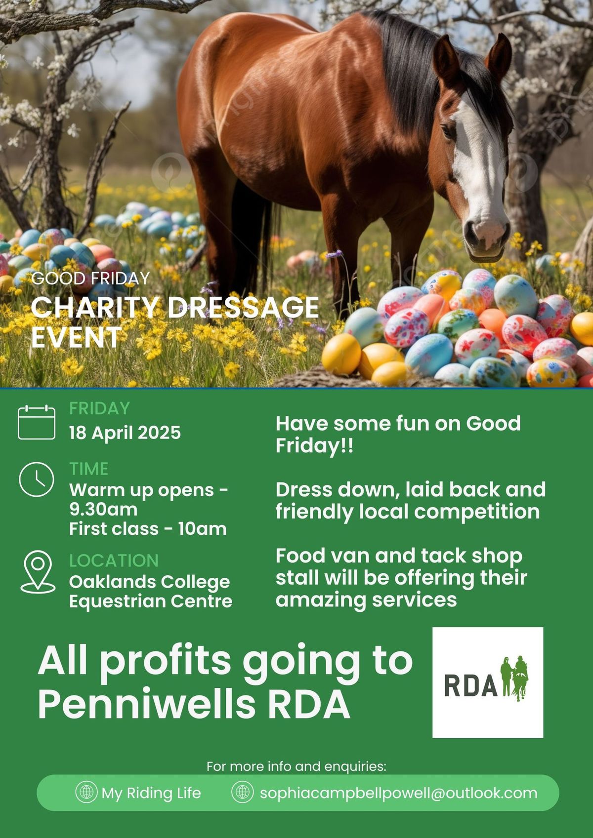 Oaklands Dress Down Charity Dressage 