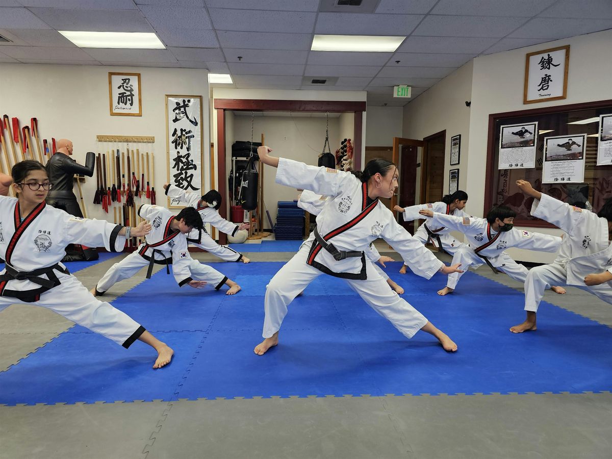 Martial Arts Day Camp (Ages 10 -14)