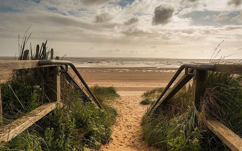 Nature Therapy  (Forest Bathing by the coast)