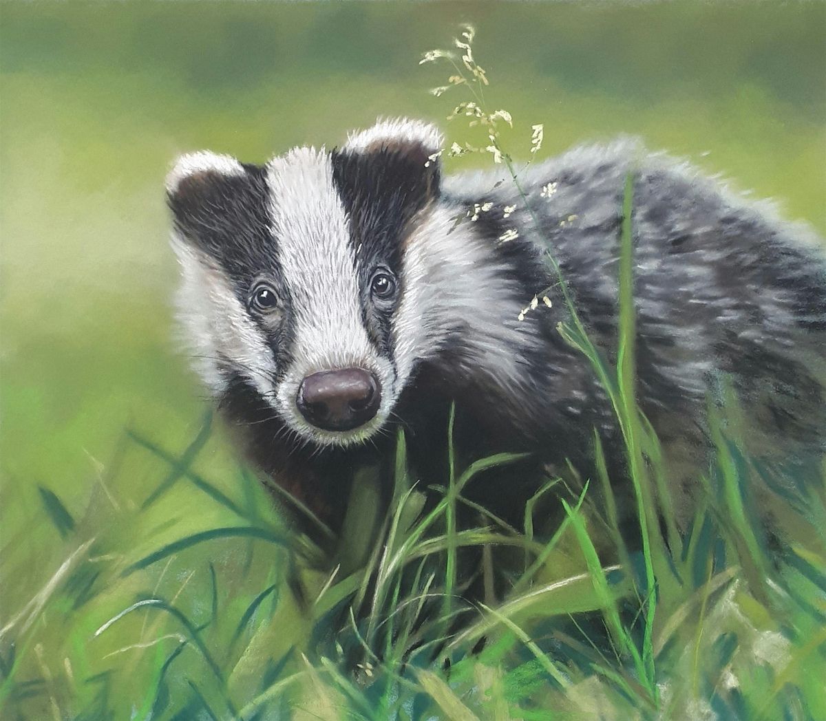 Drawing with pastels: Badger cub