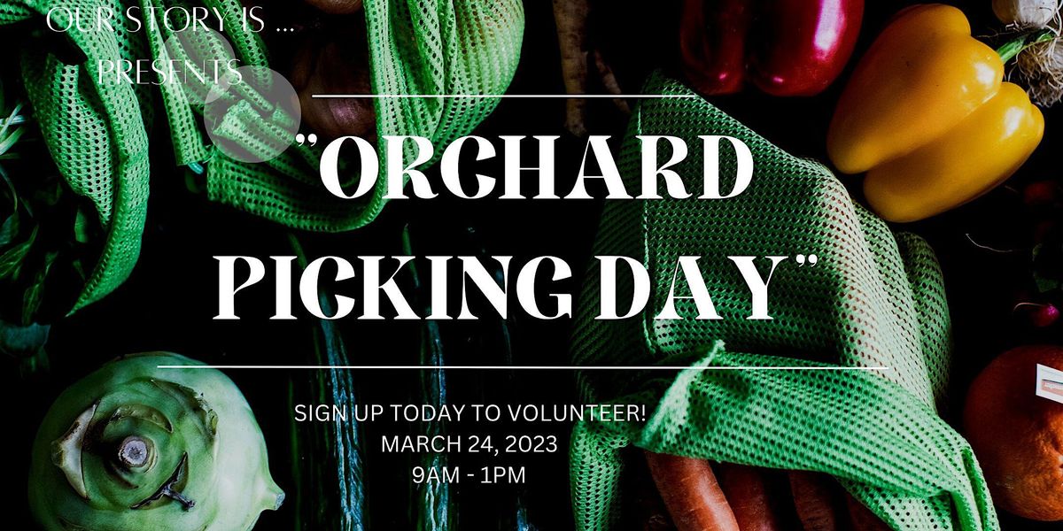 Our Story Is "Volunteer Orchard Picking Day"