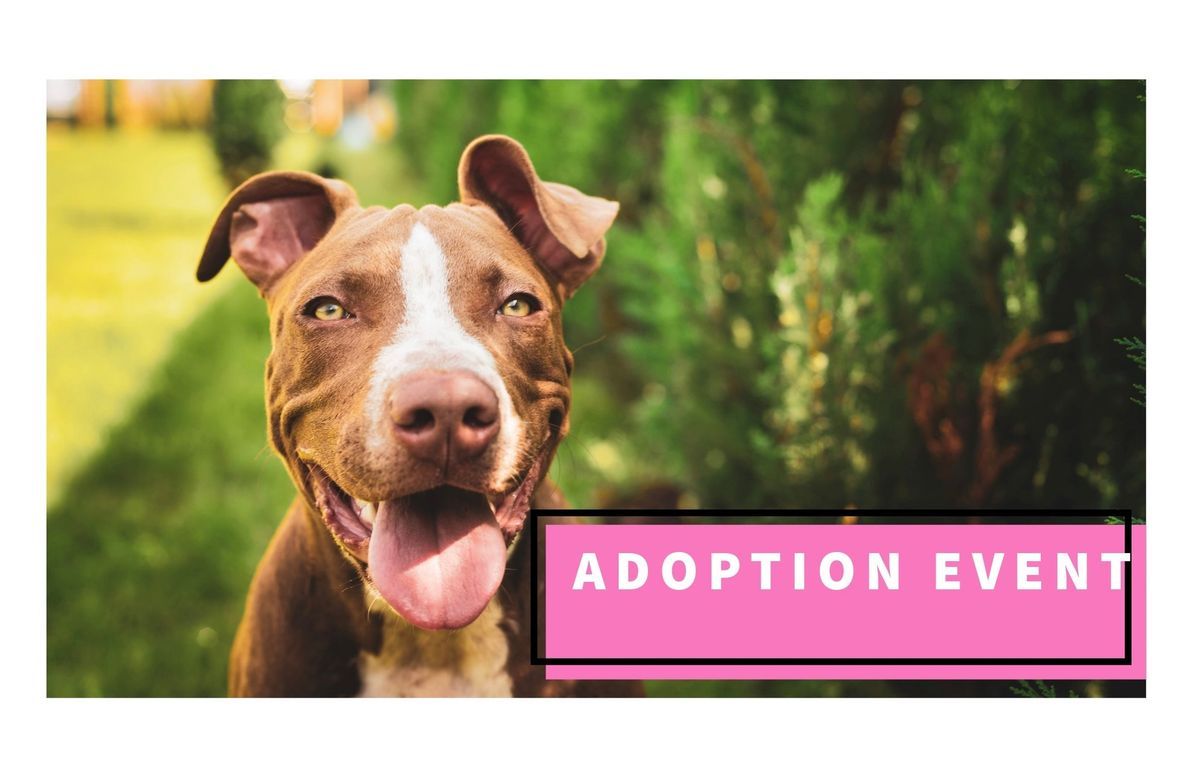 Crunch Fitness adoption event!