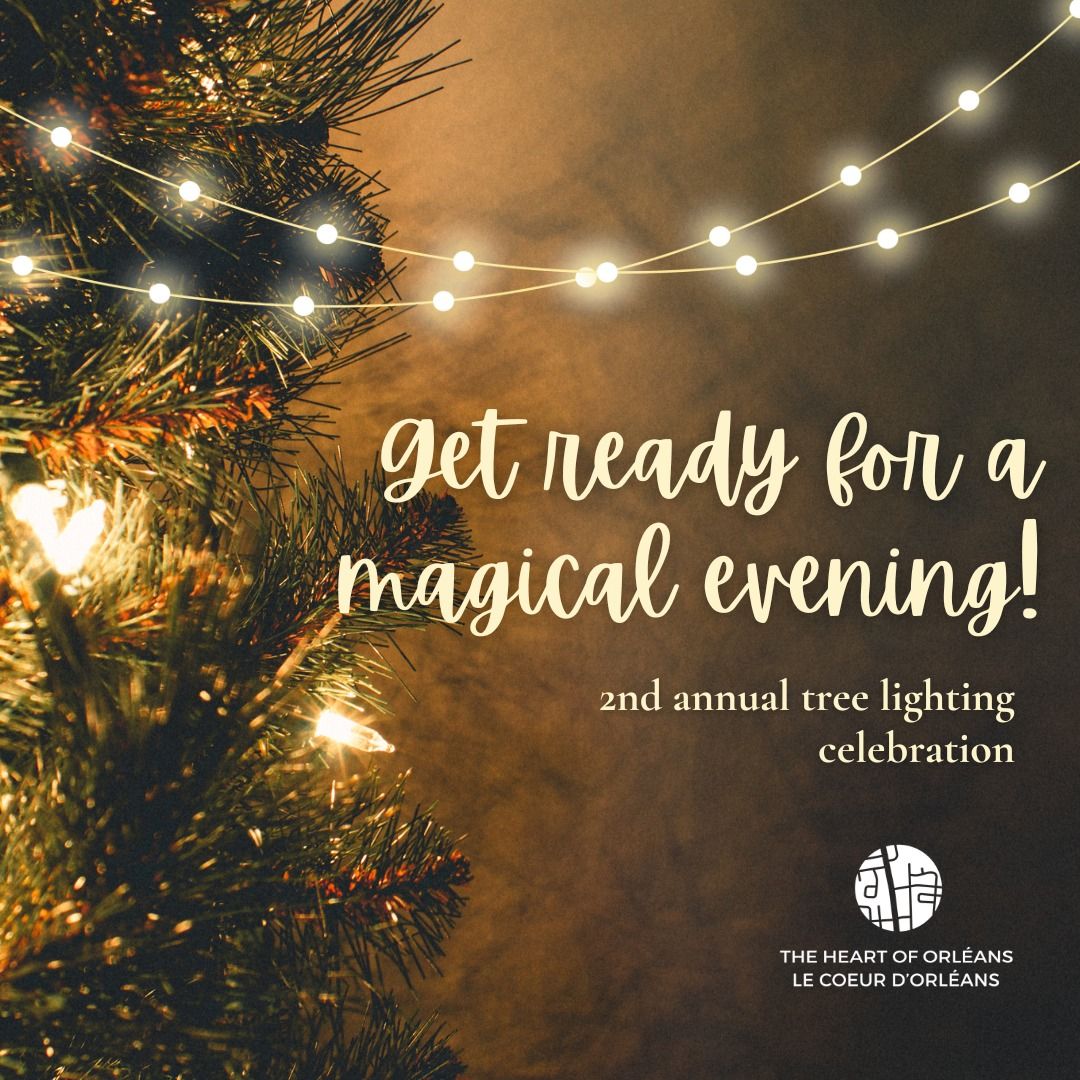 2nd Annual Tree Lighting Celebration