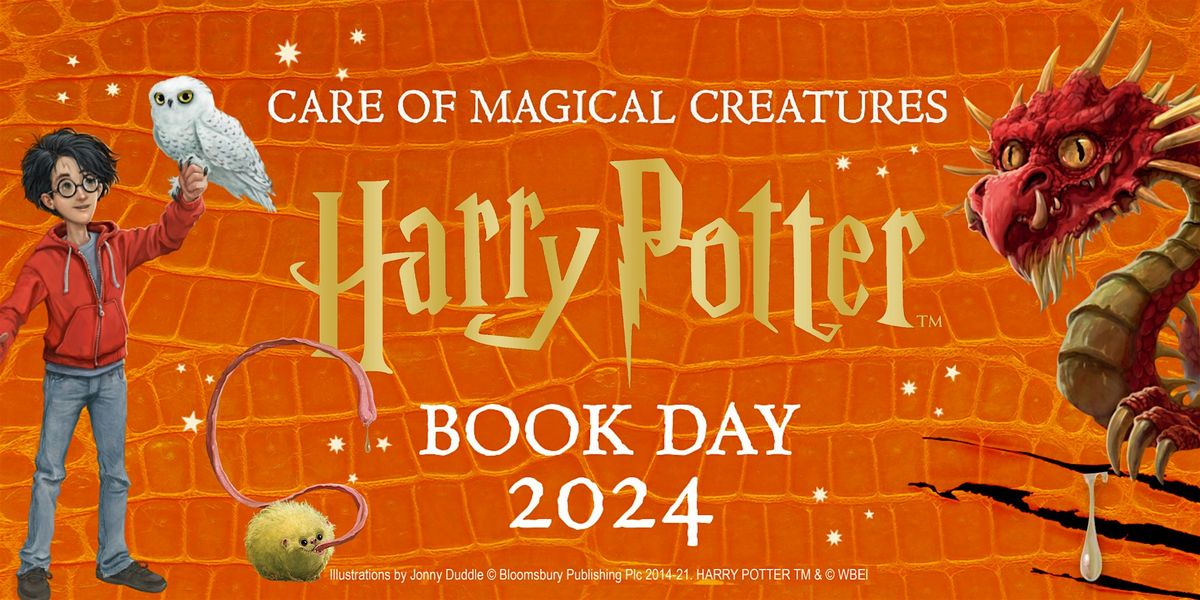 Harry Potter Book Day at Rugby Library