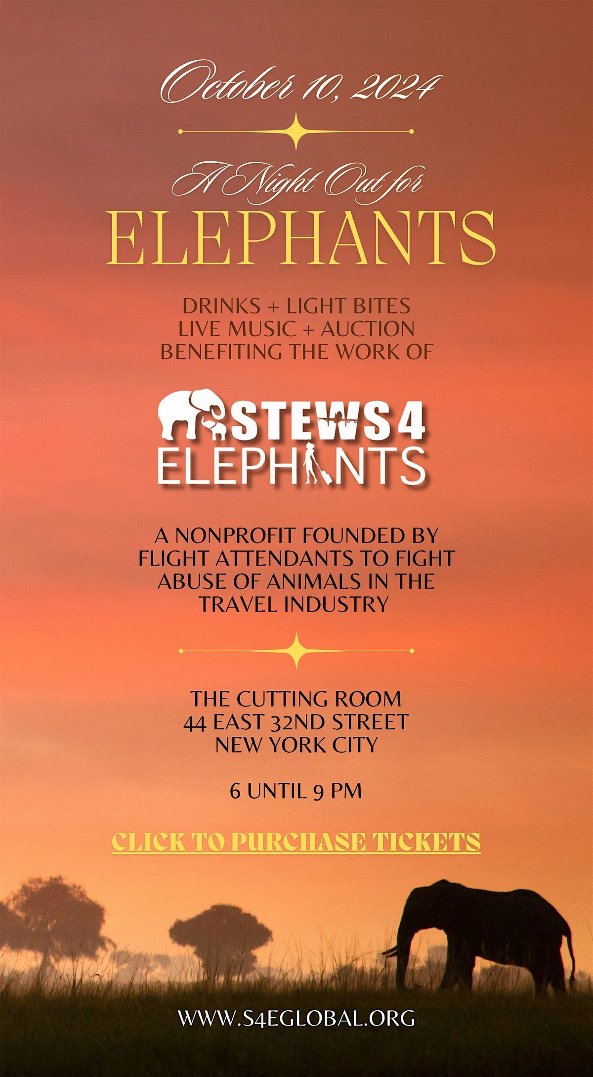 S4E presents: A Night Out For Elephants