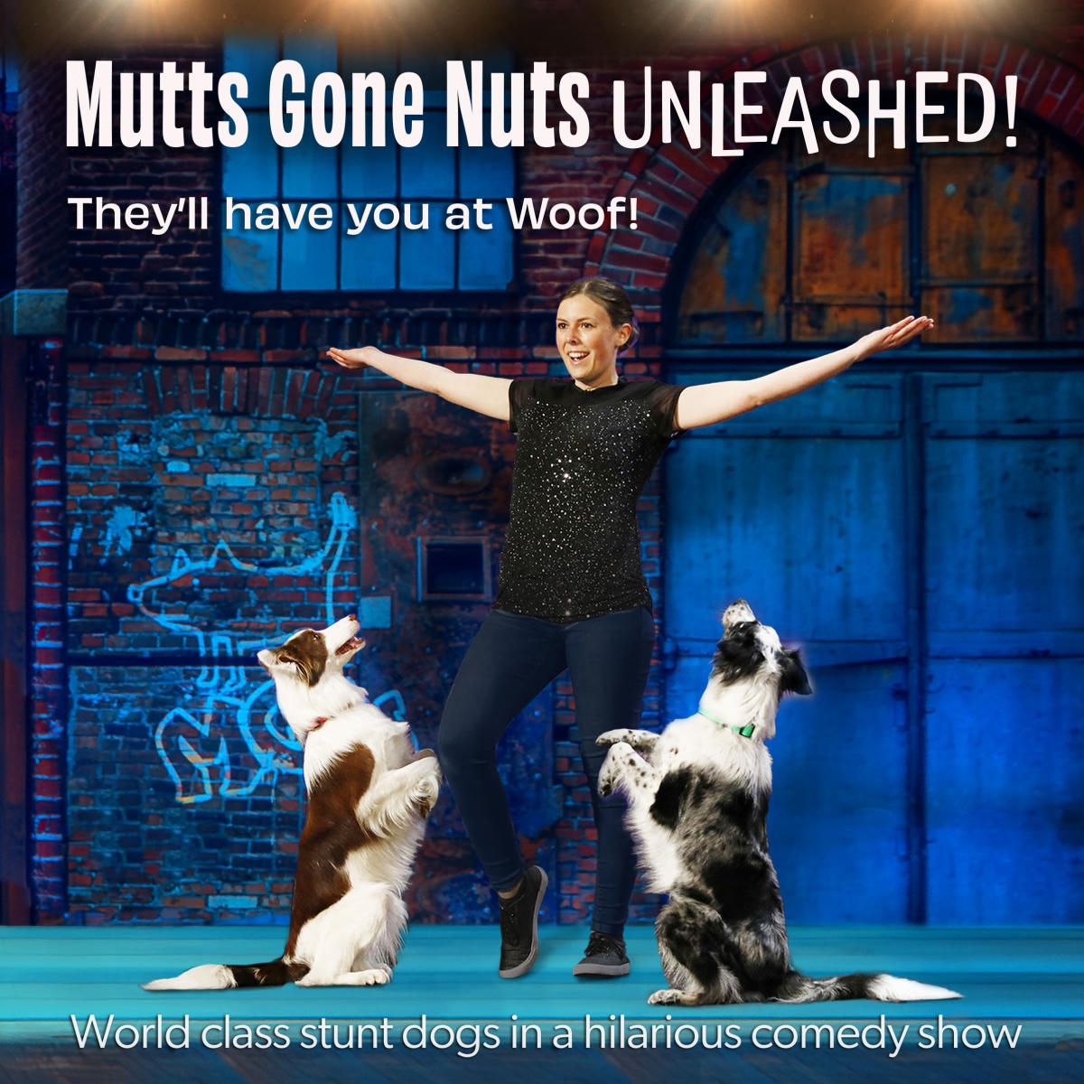 Mutts Gone Nuts: Unleashed