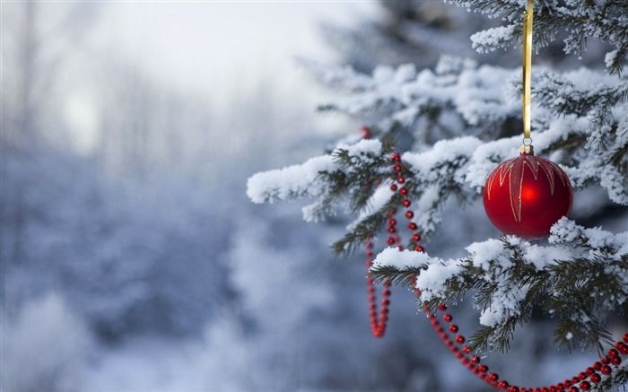 Christmas Family Forest School