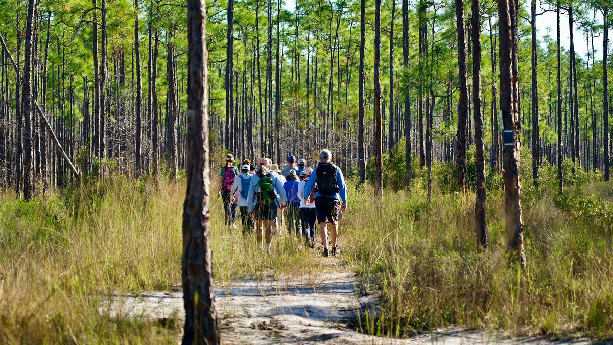 Guided Walk: CREW Flint Pen Strand Trails (Yellow South Trail)