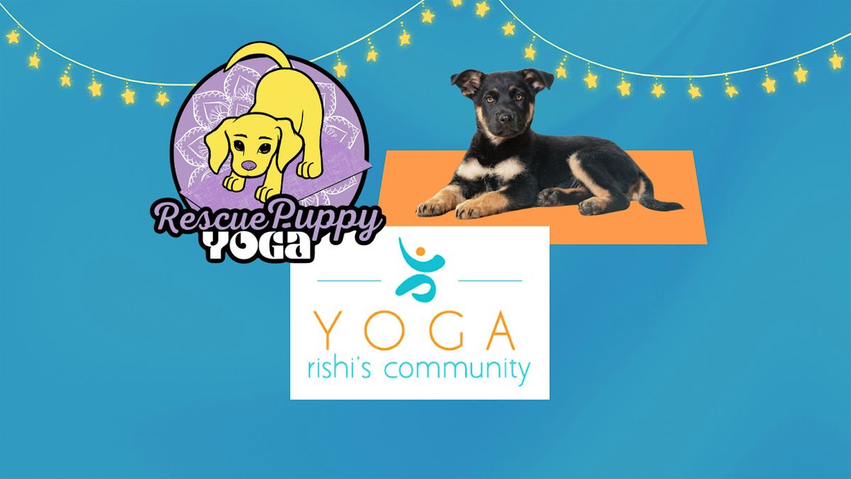 Rescue Puppy Yoga -  Rishi\u2019s Community Yoga