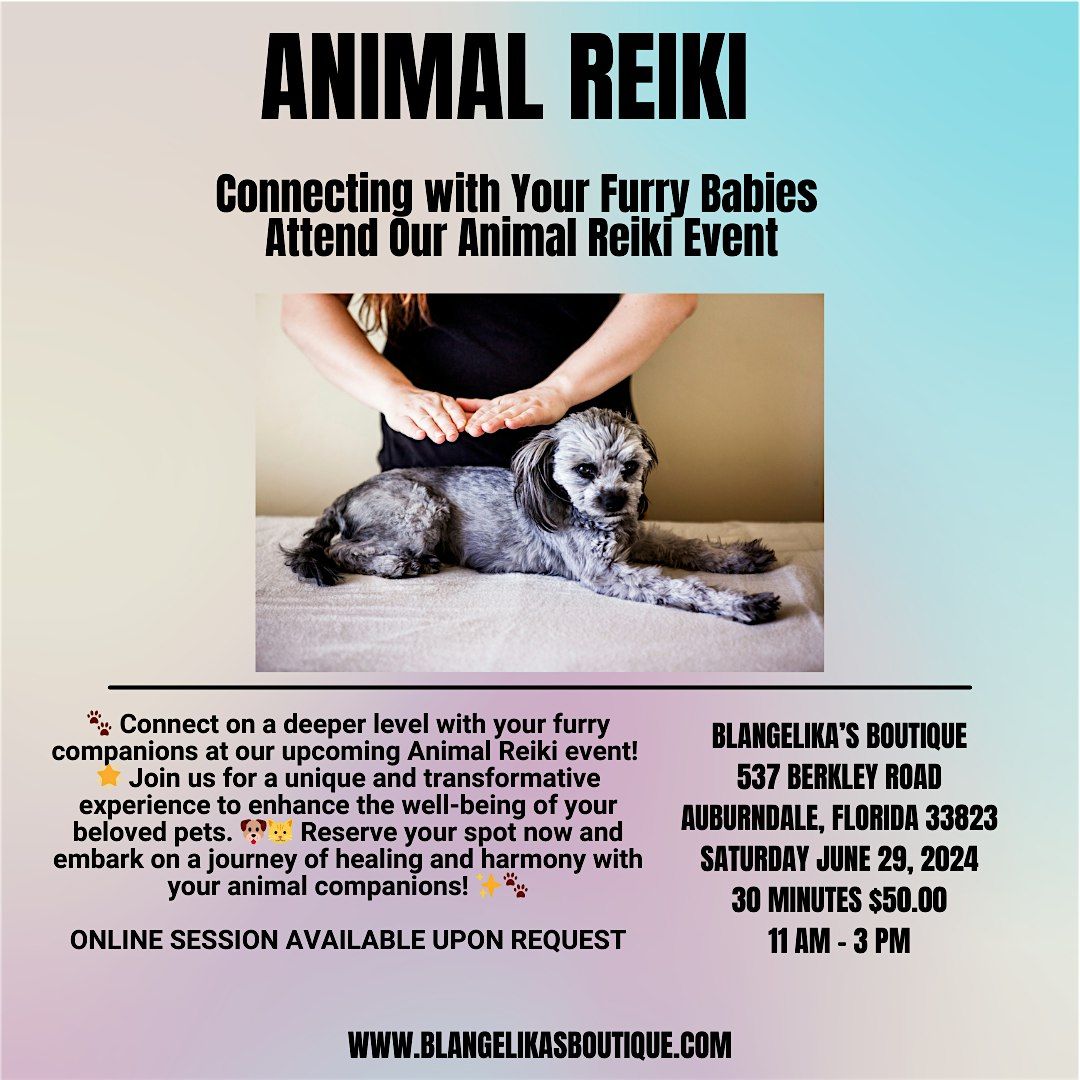 ANIMAL REIKI