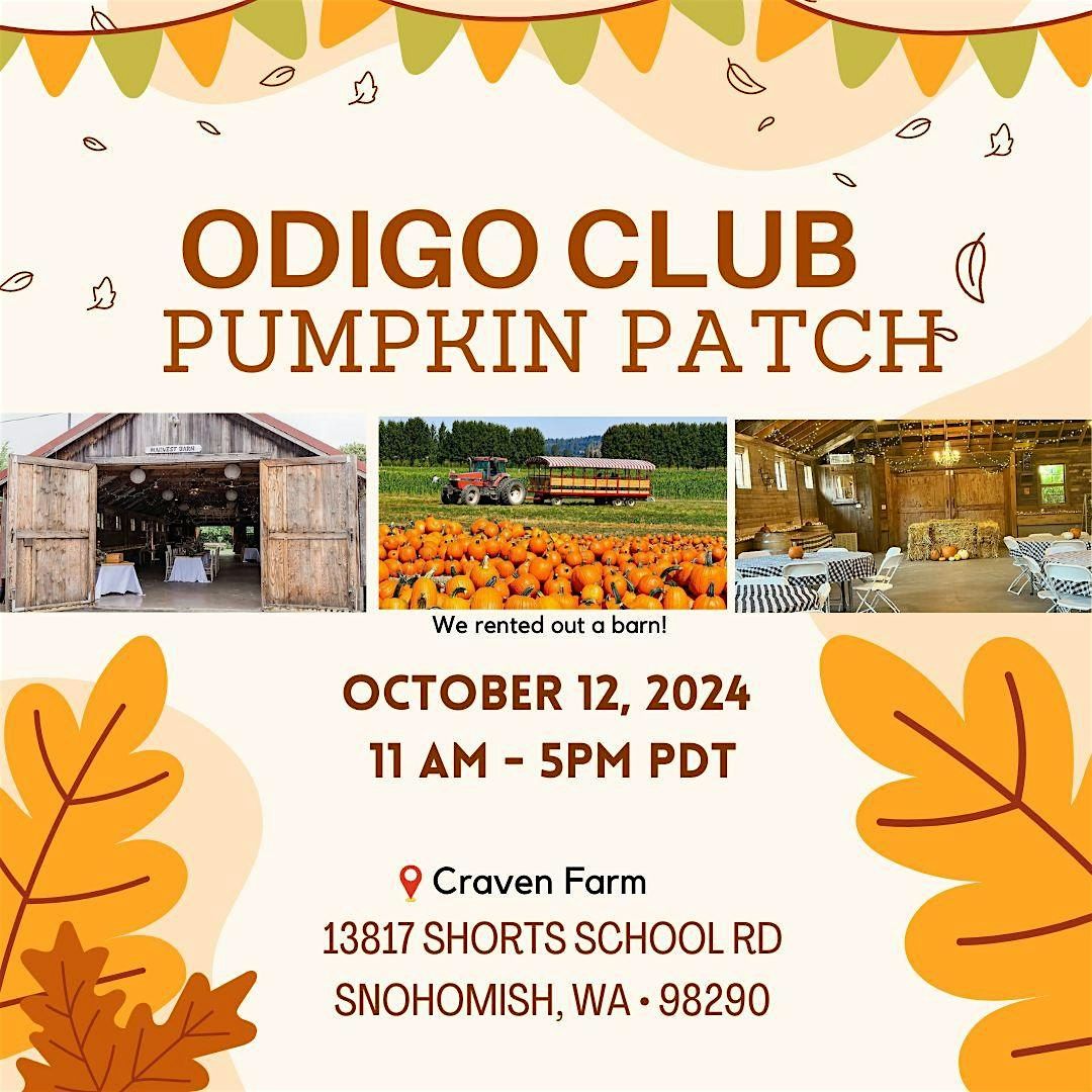 Odigo Pumpkin Patch 2024