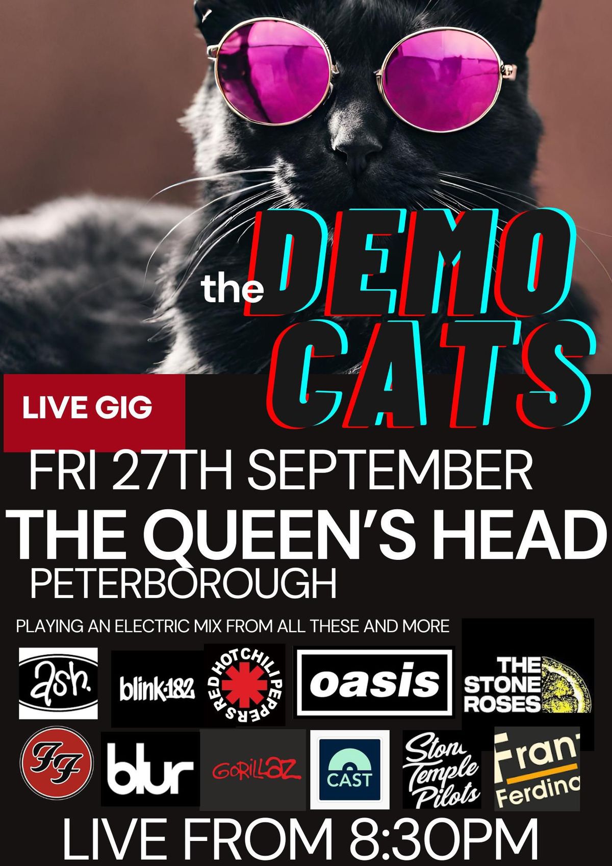 Demo Cats live at The Queen's Head