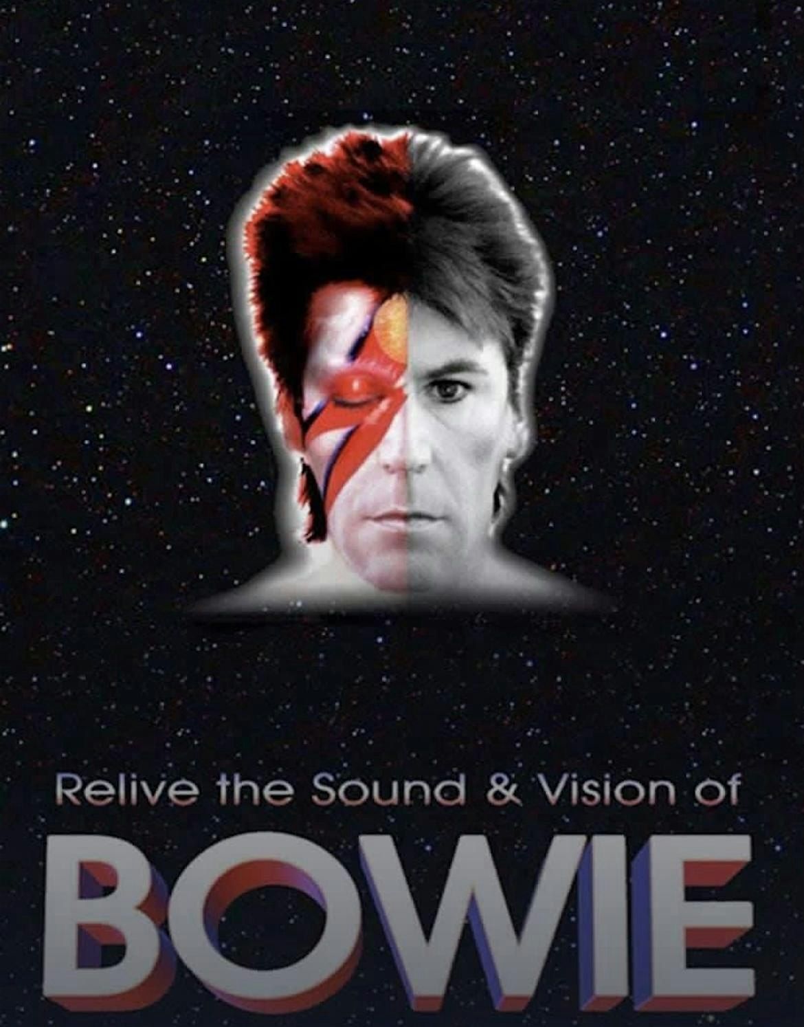 Aladdinsane - David Bowie Tribute