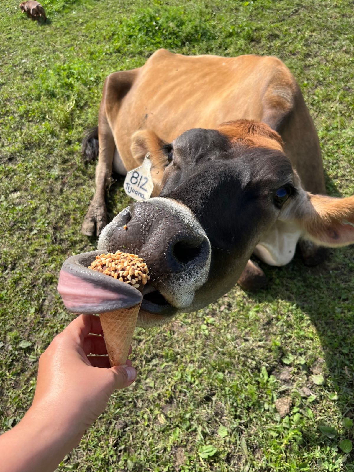 ICE CREAM SOCIAL AT THE FARM! ?SOLD OUT!!!