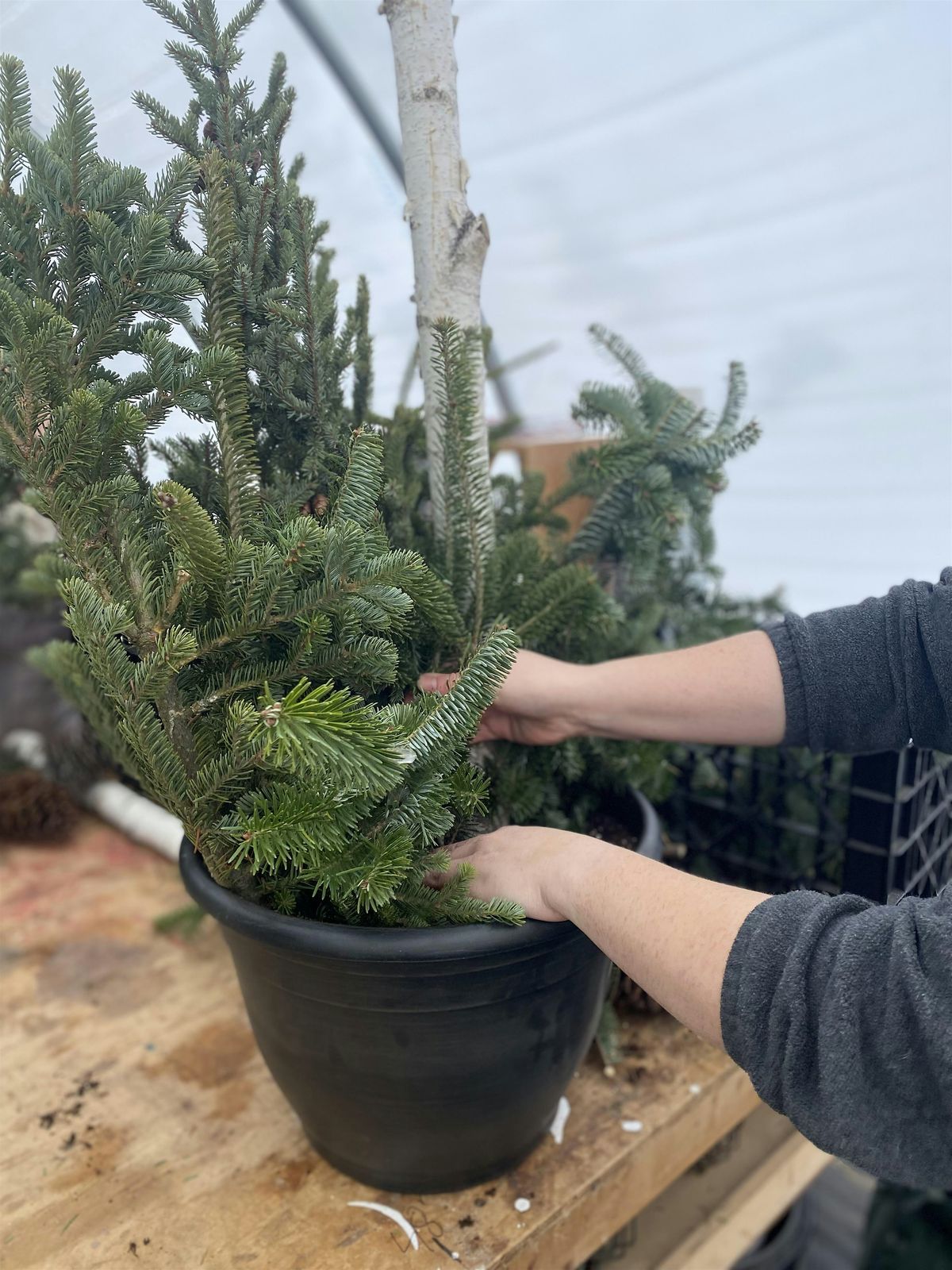 Porch Pot or Wreath Making Open House