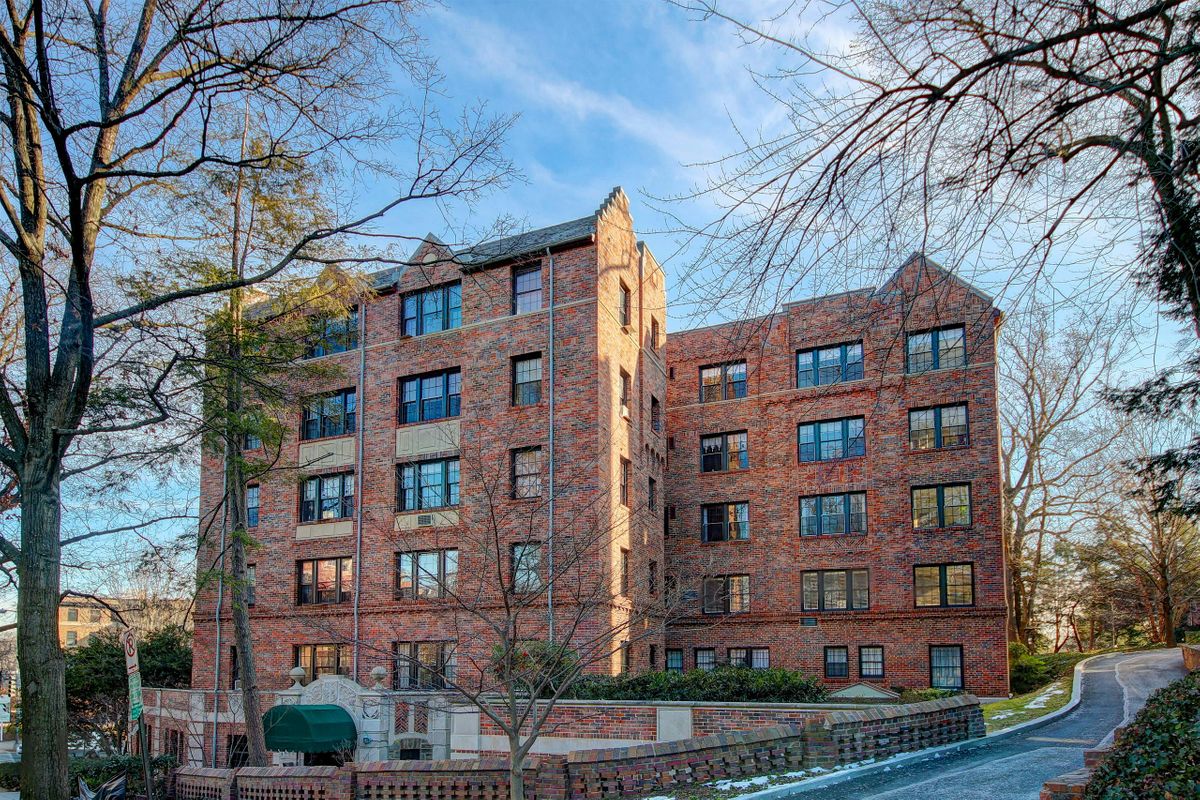 FREE: Tilden Gardens Walking Tour -  Saturday, January 27th