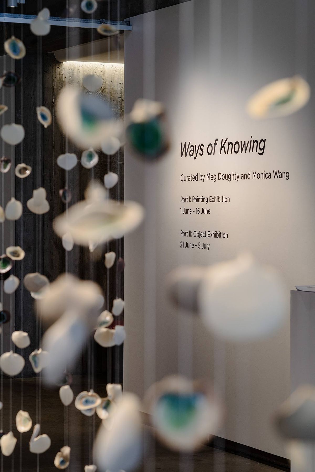 Ways of Knowing Part II: Early Artist Introduction, Q+A with the emerging curators, SKUB president