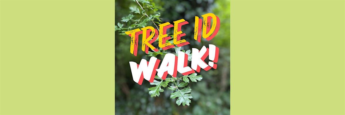 Guided Tree ID Walk Middleton Park