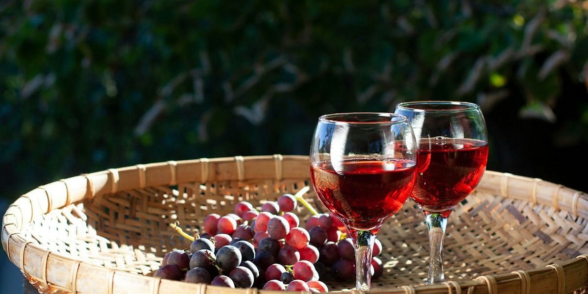 Platicas y Pruebas: Red Wines by Ofrenda Wines