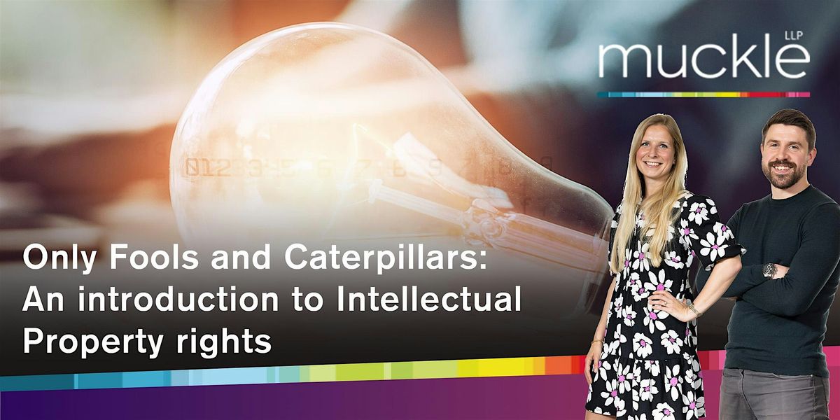 An introduction to Intellectual Property rights