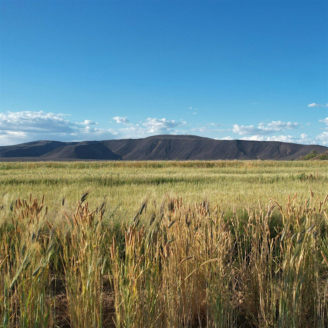 Regenerative Organic Learning Center (ROLC)  at Oatman Flats Ranch