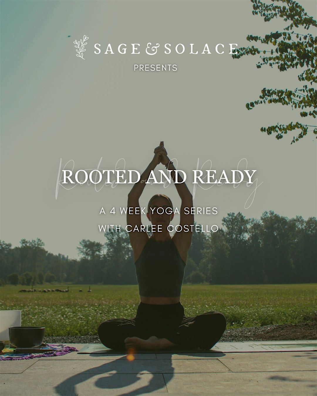 Rooted & Ready:   A Grounding Practice for Busy Times