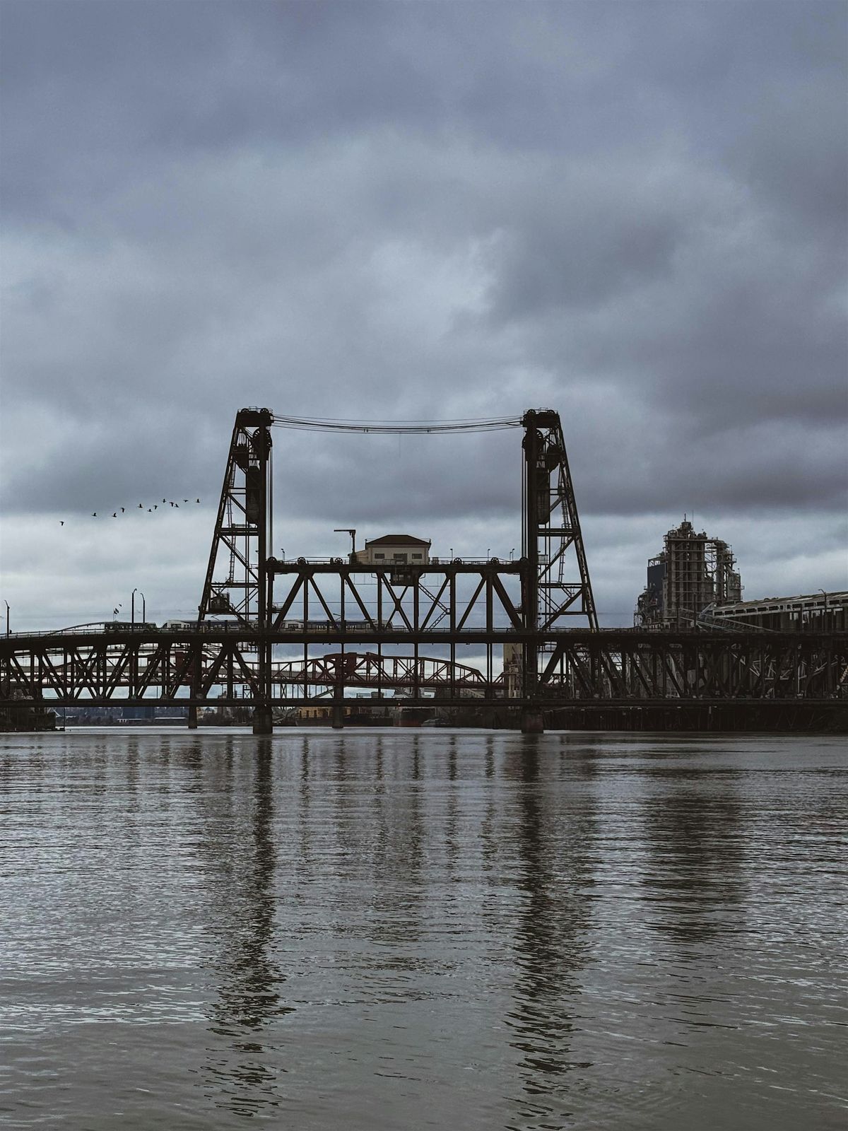 PDX Bridge Tour with Wander Free and Queer