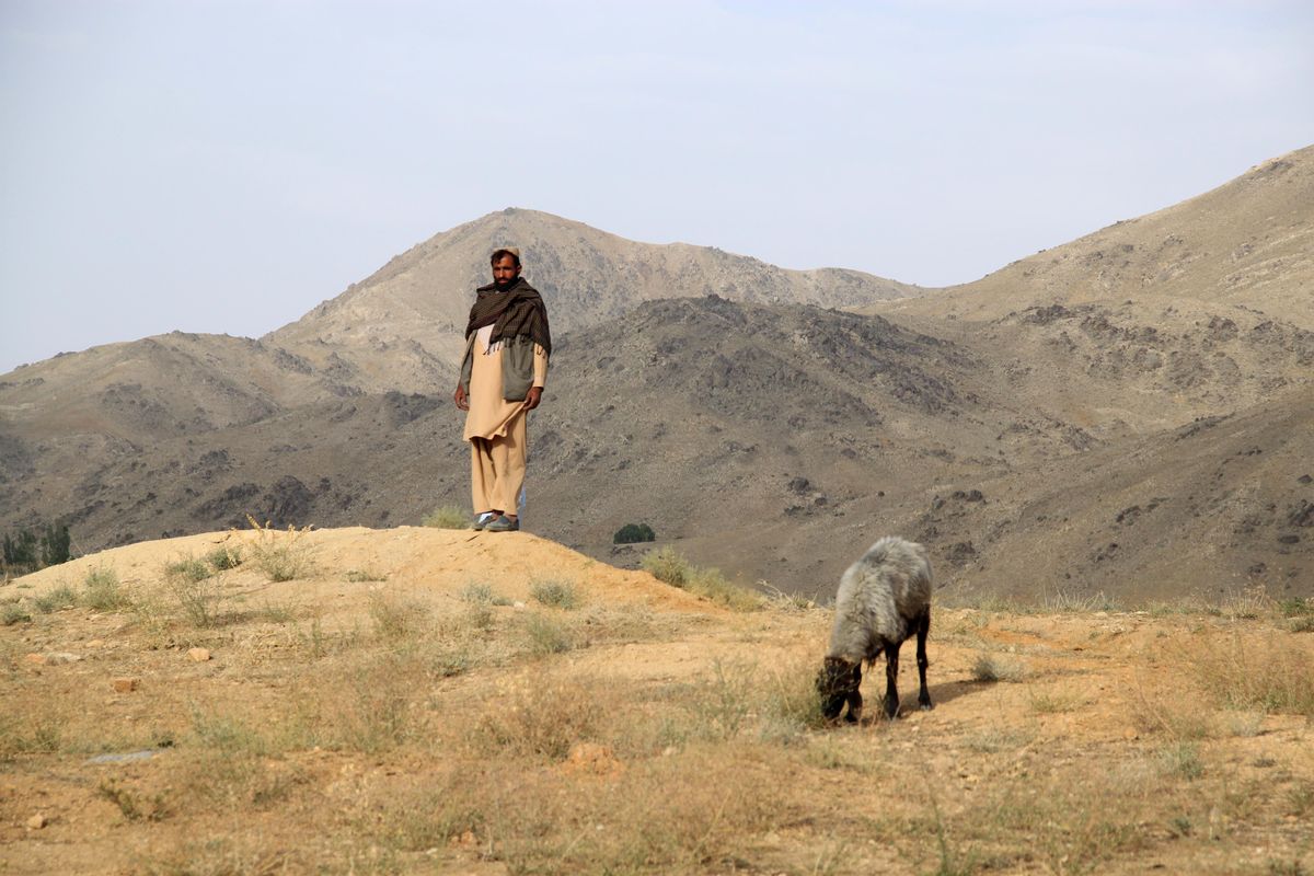 An Exploration of Contemporary Afghanistan