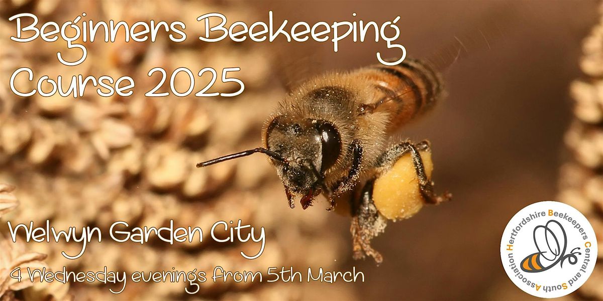 Beginners Beekeeping Course 2025