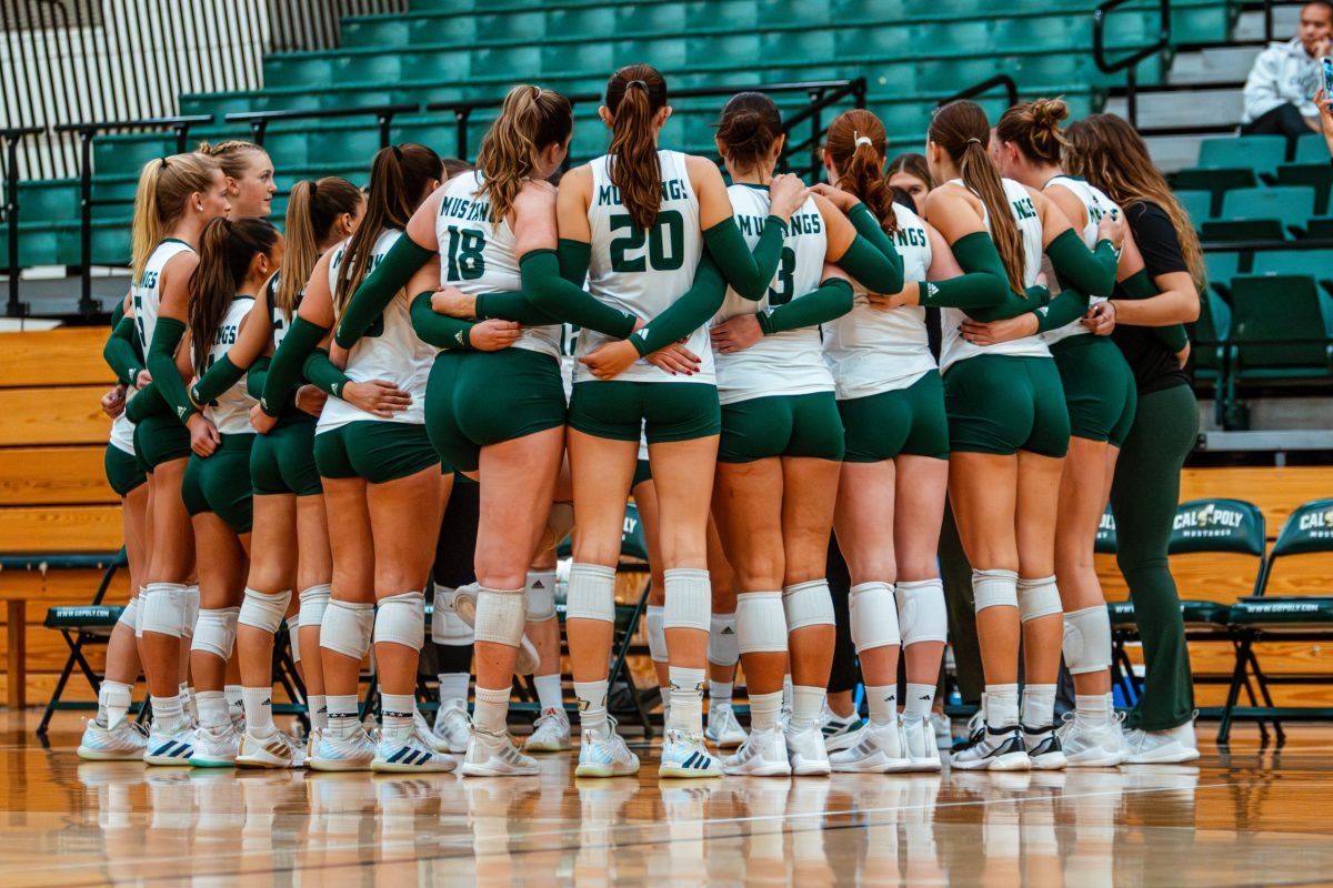 Cal Poly Mustangs at Long Beach State Softball