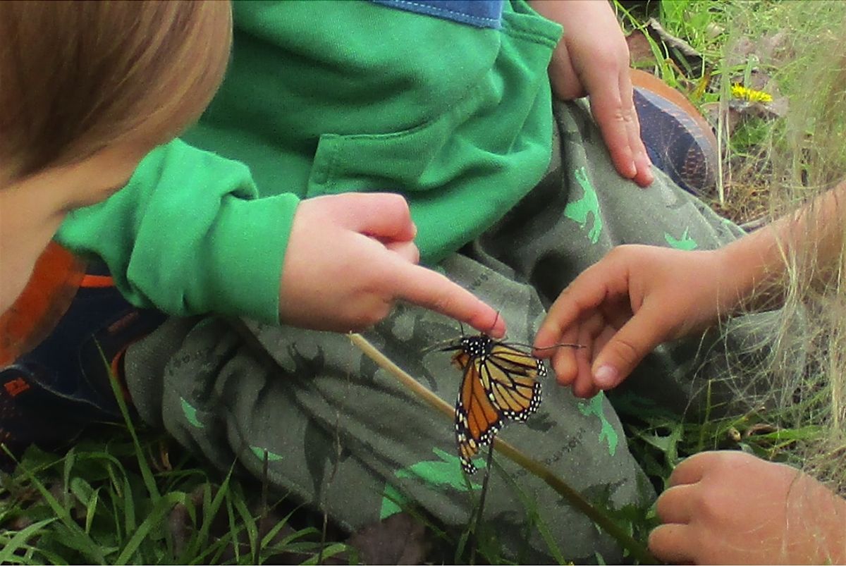 Nature Through the Lens of Childhood: Children's Research, and Encounters