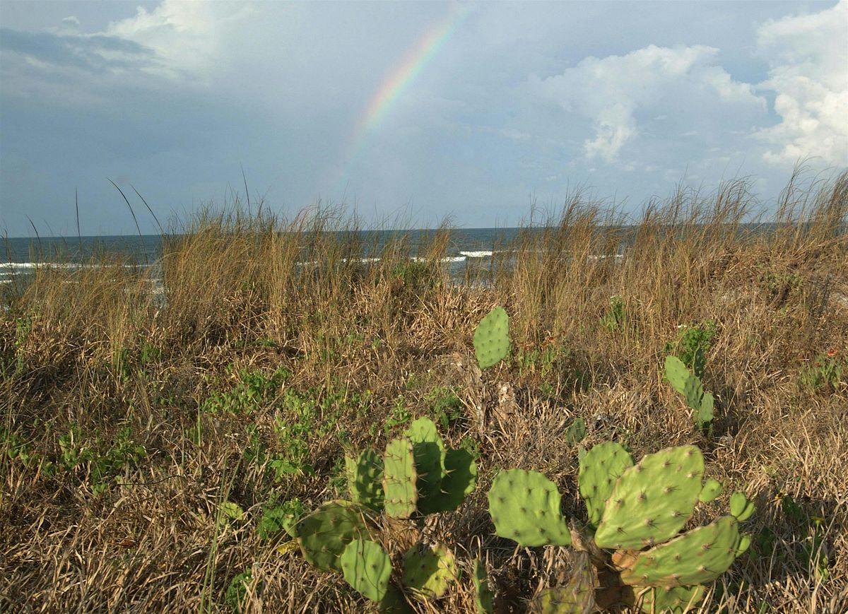 EcoWalk: Unique Preserves of Sarasota County - Shamrock Park