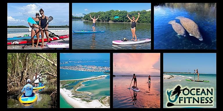 Mangrove Paddleboard Adventure Tour to Shell Key Preserve!