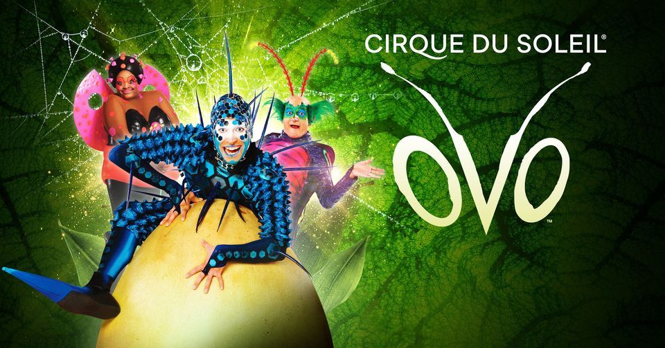 Cirque du Soleil: OVO | Scandinavium, G\u00f6teborg