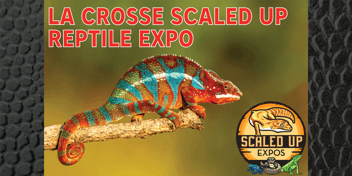 La Crosse Scaled Up Reptile Expo 10-19-2024