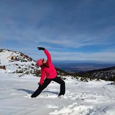 FlexyBend Vinyasa Yoga