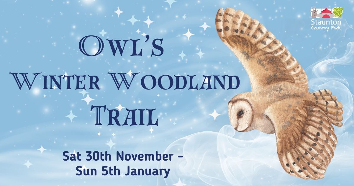 Owl's Winter Woodland Trail 