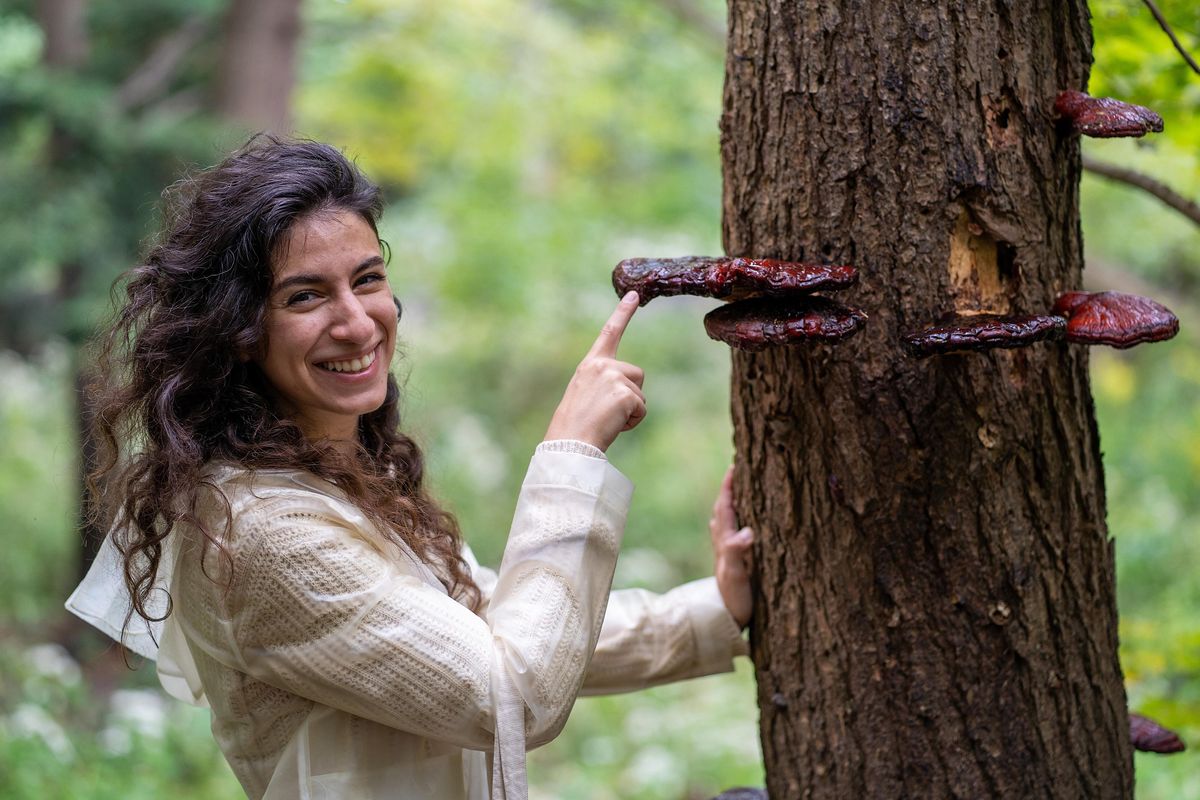 Scarborough Mycological Foray