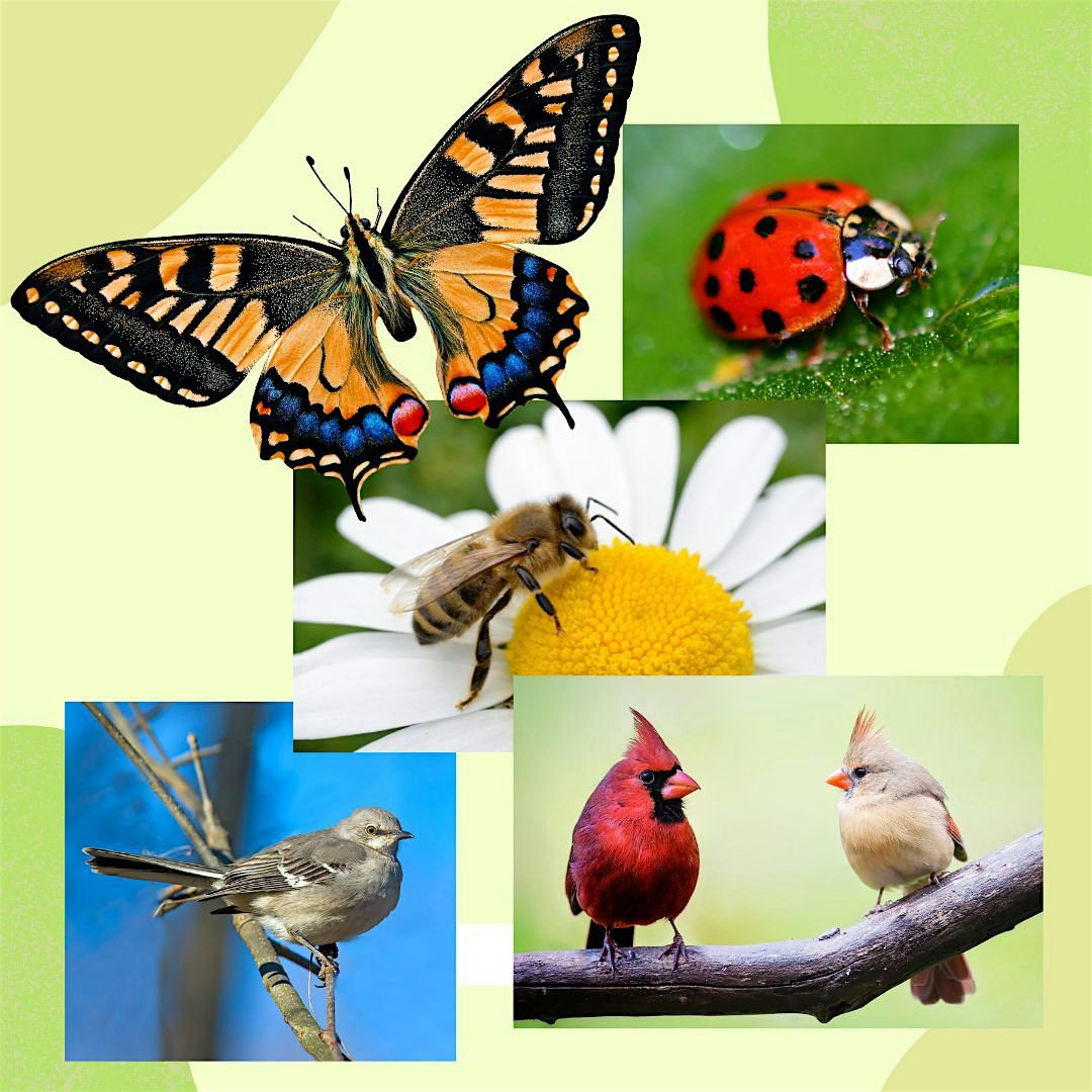 Family Friendly: Bugs, Birds, & Butterflies Family Day