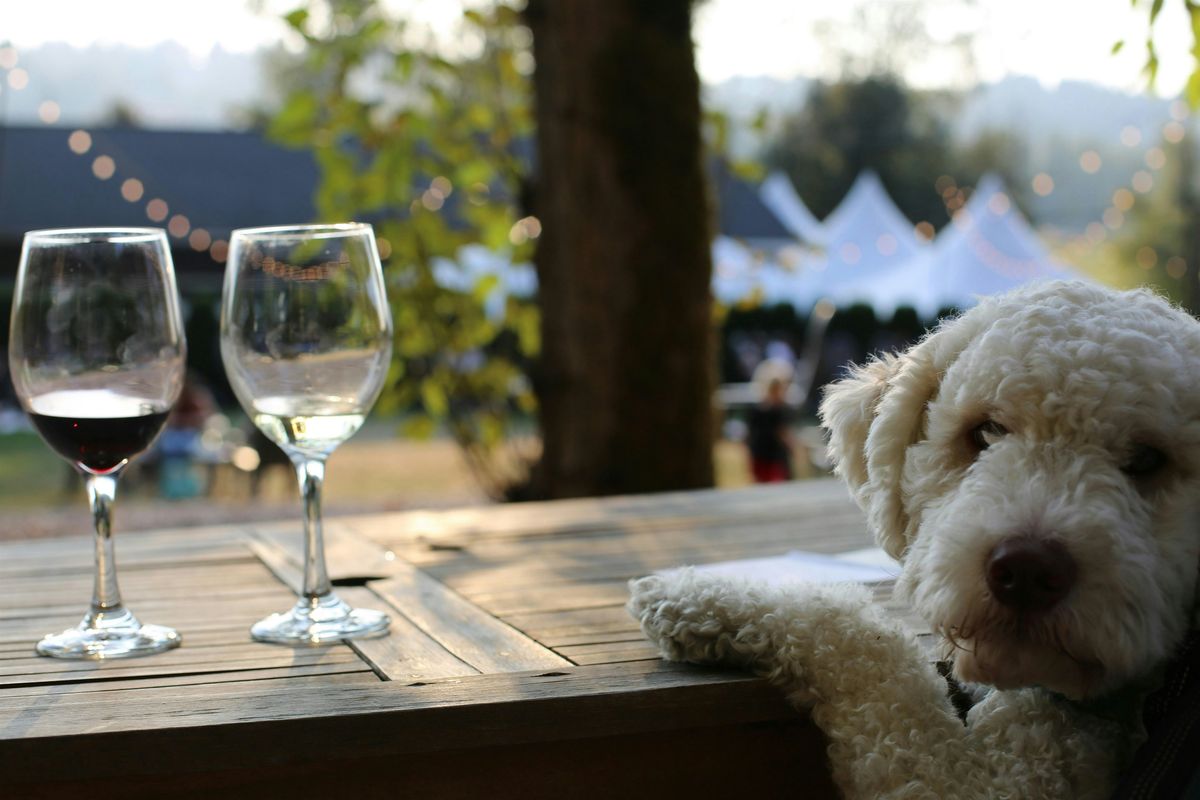 Love Dog Woofs and Wine