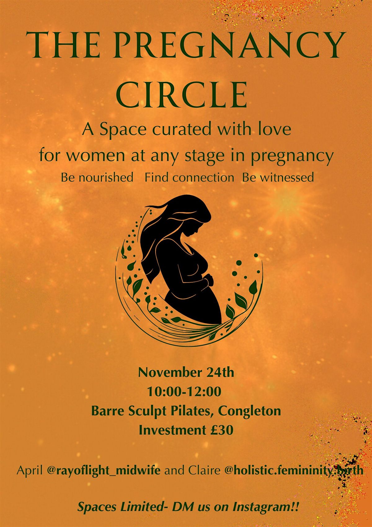 The Pregnancy Circle