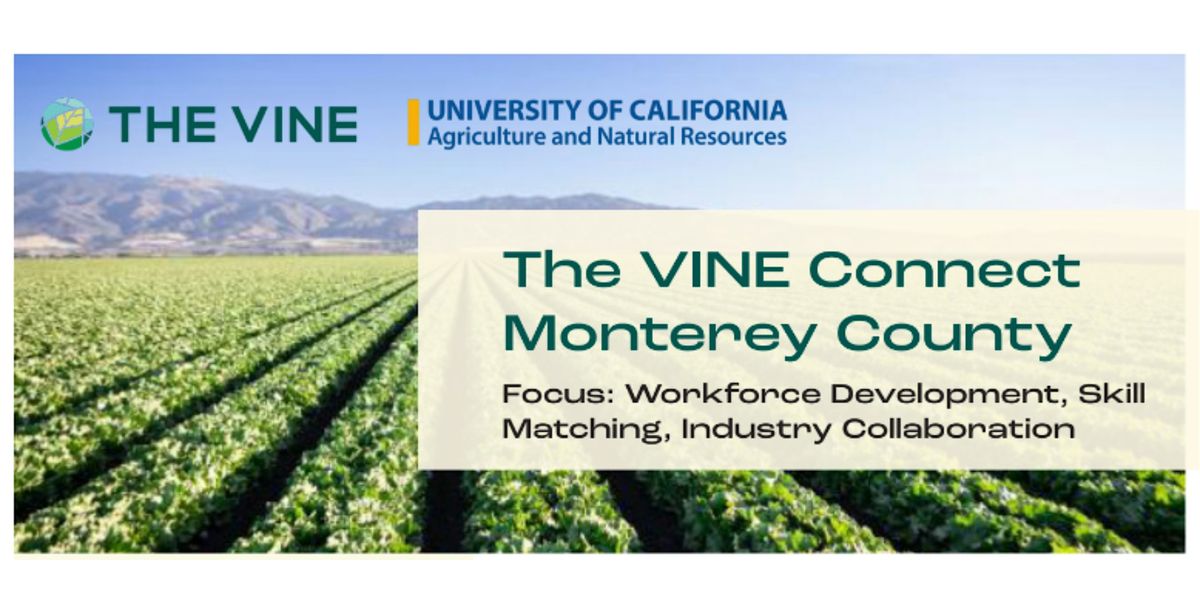 The Vine Connect - Monterey County
