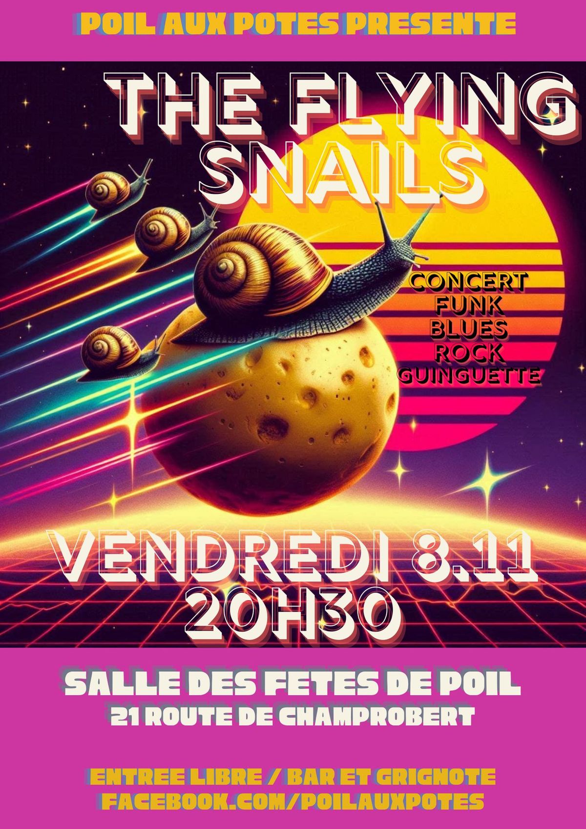 The Flying Snails en concert \u00e0 Poil