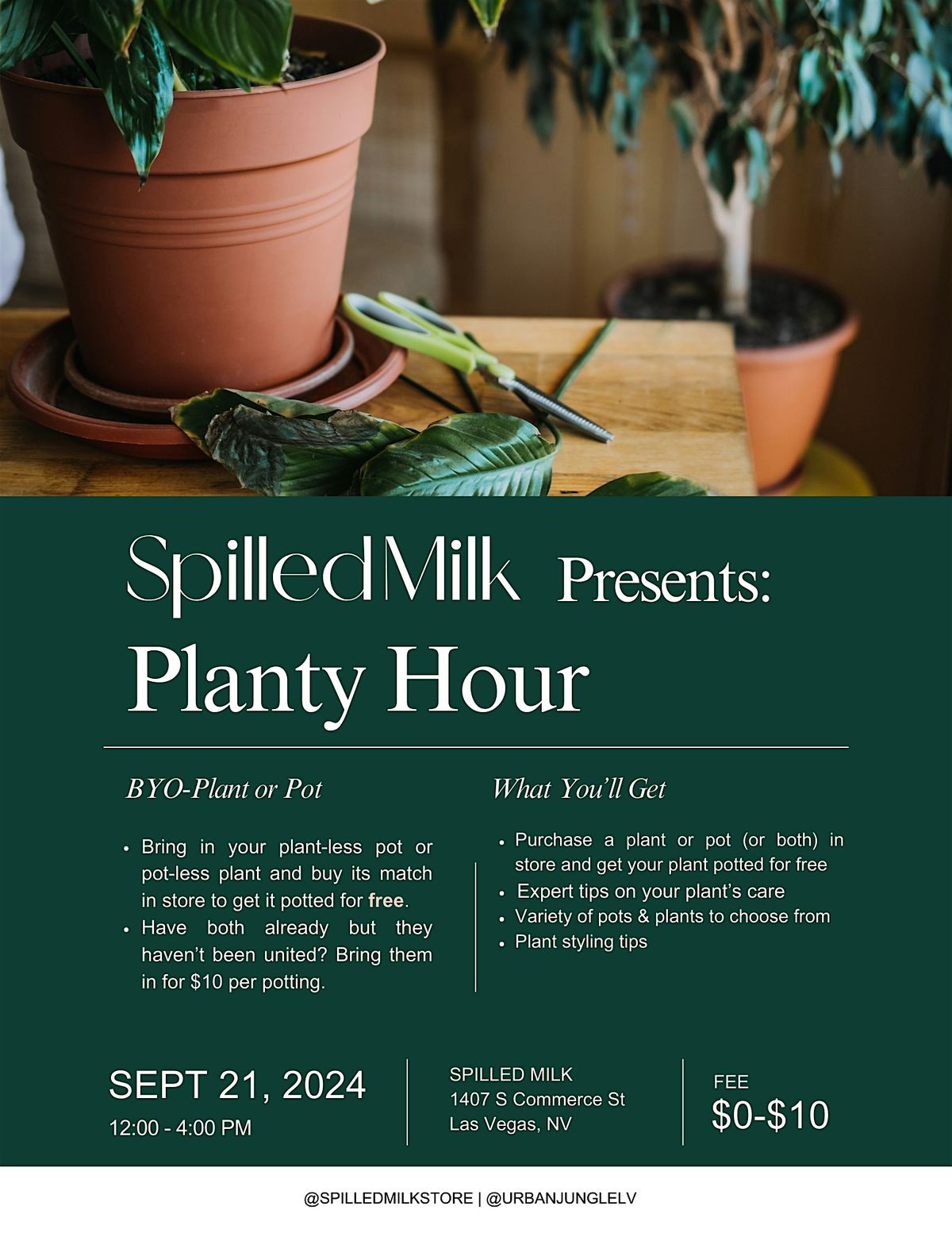 Planty Hour - BYO Plant or Pot