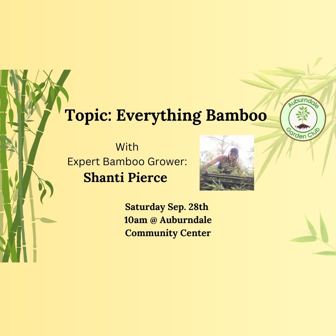 Bamboo Masterclass: A Talk By A Global Expert