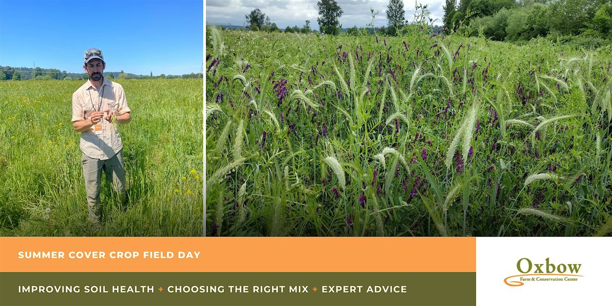 Summer Cover Crop Field Day