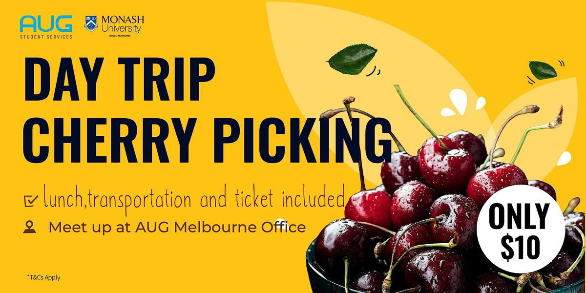 [AUG Melbourne] Day Trip Cherry Picking, AUG Student Services