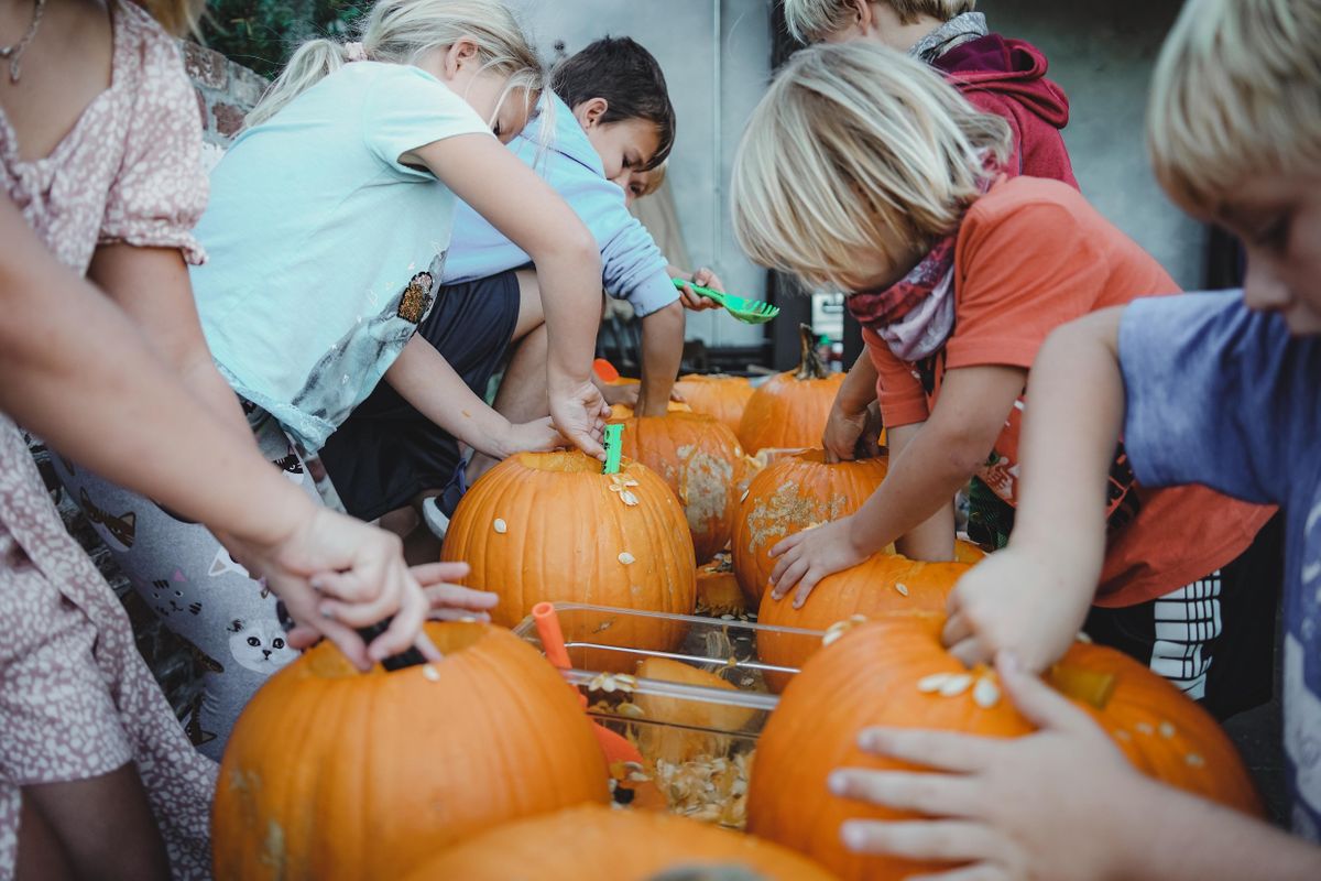 Pumpkin Carving Contest & Dog Costume Contest