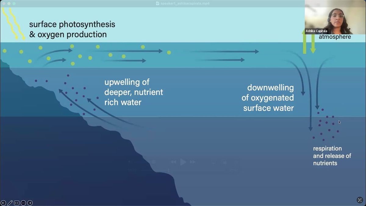Ashika Con - Saturday (Time: TBD)